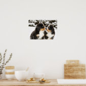 Bernese Mountain Dog Puppies die elkaar snuiffelen Poster (Keuken)