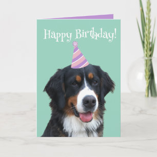 Bernese Mountain Dog Puppy Birthday Kaart