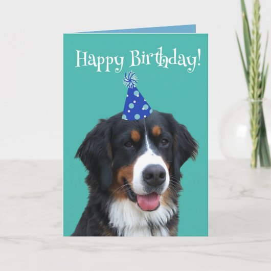 Bernese Mountain Dog Puppy Birthday Kaart (Voorkant)