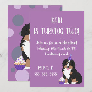 Bernese Mountain Dog Puppy Birthday Kaart