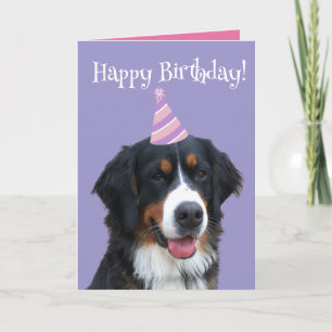 Bernese Mountain Dog Puppy Birthday Kaart