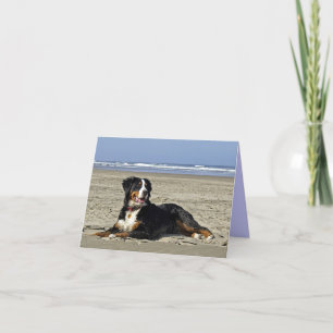 Bernese Mountain Dog Puppy Dog Note Card Kaart
