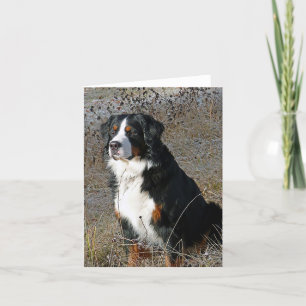 Bernese Mountain Dog Puppy Dog Note Card Kaart
