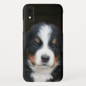 Bernese Mountain Dog Puppy iphone Xr Speck Hoesje (Achterkant)