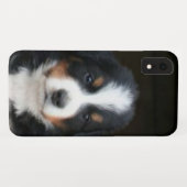 Bernese Mountain Dog Puppy iphone Xr Speck Hoesje (Achterkant (horizontaal))
