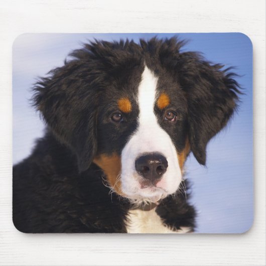 Bernese Mountain Dog Puppy Muismat (Voorkant)