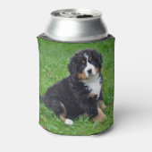 Bernese Mountain Dog Puppy Photo Blikjeskoeler (Blikje Achterkant)