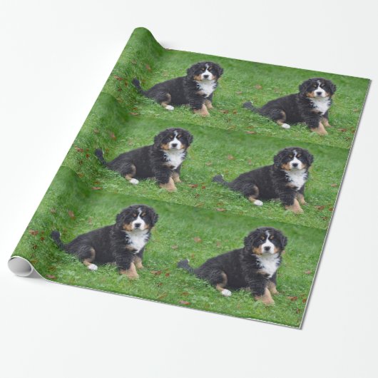 Bernese Mountain Dog Puppy Photo Cadeaupapier (Uitgerold)