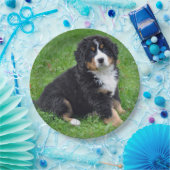 Bernese Mountain Dog Puppy Photo Papieren Bordje (Feest)
