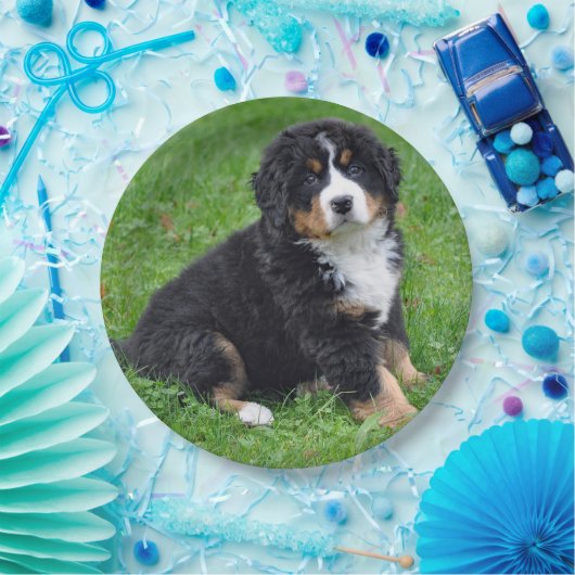 Bernese Mountain Dog Puppy Photo Papieren Bordje (Feest)