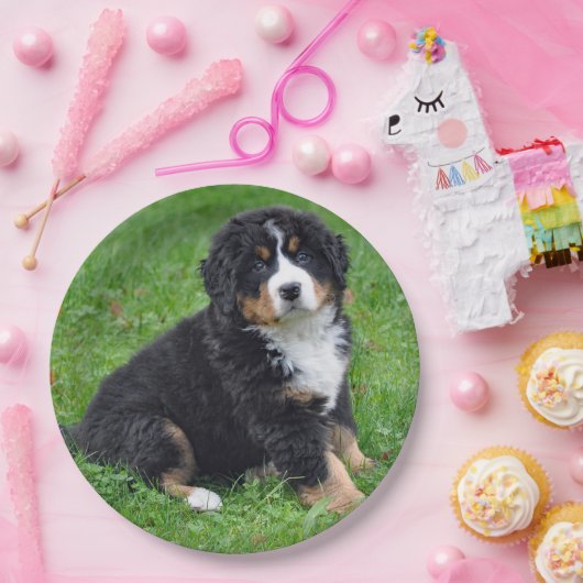 Bernese Mountain Dog Puppy Photo Papieren Bordje (Feest)