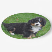 Bernese Mountain Dog Puppy Photo Papieren Bordje (Gekanteld)