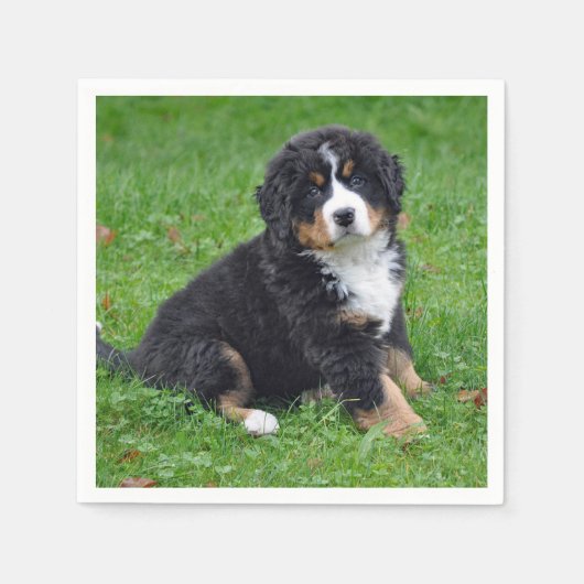 Bernese Mountain Dog Puppy Photo Servet (Voorkant)