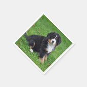Bernese Mountain Dog Puppy Photo Servet (Hoek)