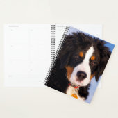 Bernese Mountain Dog Puppy Planner (Display)