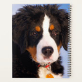 Bernese Mountain Dog Puppy Planner (Achterkant)
