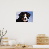 Bernese Mountain Dog Puppy Poster (Keuken)