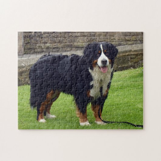 Bernese Mountain dog Puzzle Legpuzzel (Horizontaal)