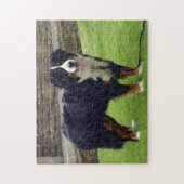 Bernese Mountain dog Puzzle Legpuzzel (Verticaal)