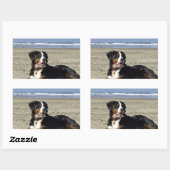 Bernese Mountain Dog Rechthoekige Sticker (Vel)