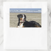 Bernese Mountain Dog Rechthoekige Sticker (Tas)