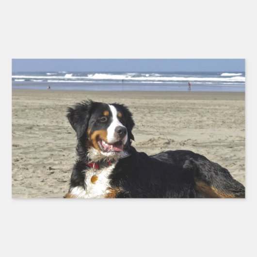 Bernese Mountain Dog Rechthoekige Sticker (Voorkant)