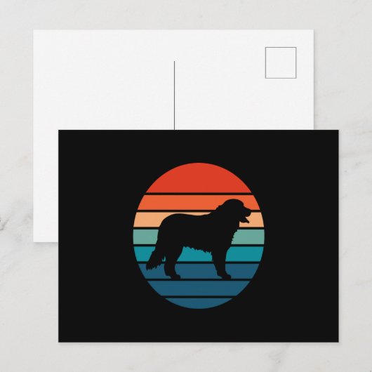Bernese Mountain Dog  Retro Briefkaart (Voorkant / Achterkant)