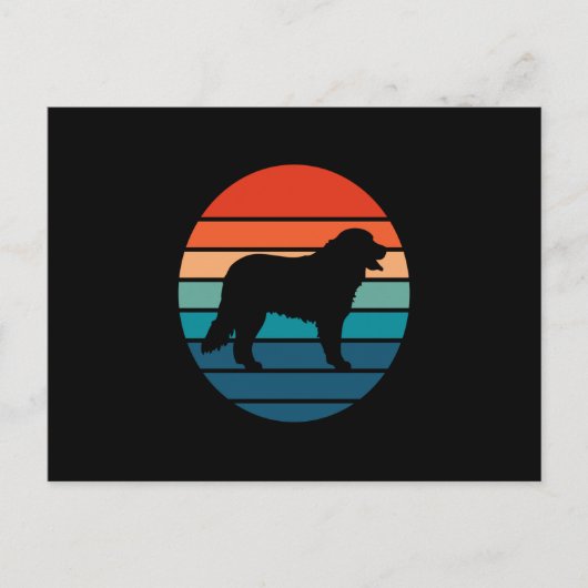 Bernese Mountain Dog  Retro Briefkaart (Voorkant)