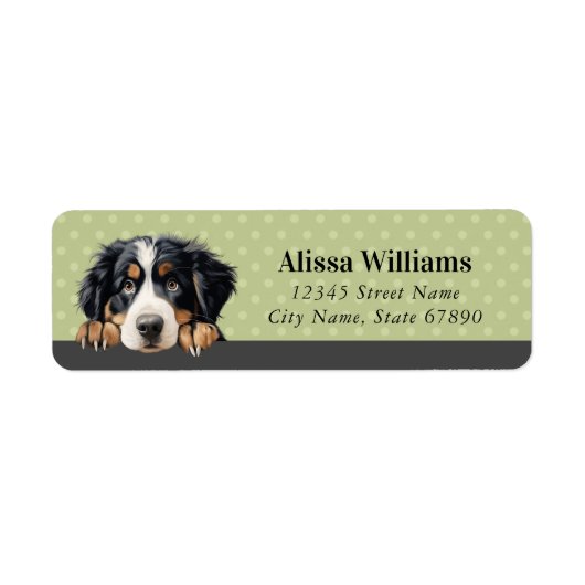 Bernese Mountain Dog Return-adreslabels Etiket (Voorkant)