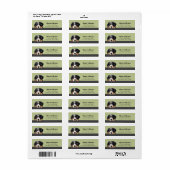 Bernese Mountain Dog Return-adreslabels Etiket (Full Sheet)