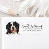 Bernese Mountain Dog Return-adreslabels Etiket (Insitu)