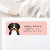 Bernese Mountain Dog Return-adreslabels Etiket (Insitu)