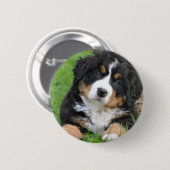 Bernese Mountain Dog Ronde Button 5,7 Cm (Voorkant /achterkant)
