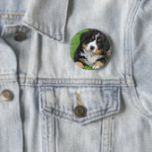 Bernese Mountain Dog Ronde Button 5,7 Cm (In situ)