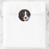 Bernese Mountain Dog Ronde Sticker (Tas)