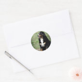 Bernese Mountain Dog Ronde Sticker (Envelop)