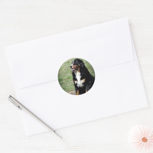 Bernese Mountain Dog Ronde Sticker (Envelop)