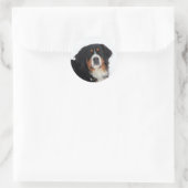  Bernese Mountain Dog Ronde Sticker (Tas)