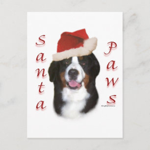 Bernese Mountain Dog Santa Paws Feestdagenkaart