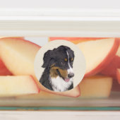 Bernese Mountain Dog-schilderij - Original Dog Art Labels (Aangebracht)