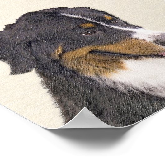 Bernese Mountain Dog-schilderij - Original Dog Art Poster (Hoek)