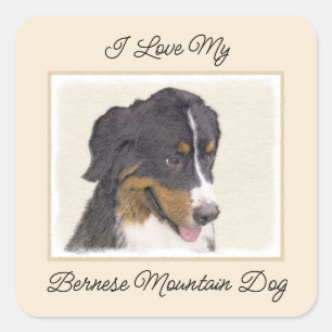 Bernese Mountain Dog-schilderij - Original Dog Art Vierkante Sticker
