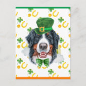 Bernese Mountain Dog Shamrock St. Patricks Day Feestdagenkaart (Voorkant)