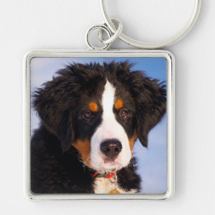 Bernese Mountain Dog Sleutelhanger