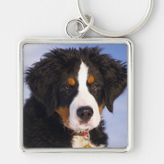 Bernese Mountain Dog Sleutelhanger (Voorkant)