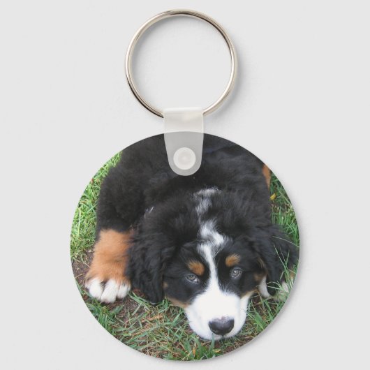 Bernese Mountain Dog Sleutelhanger (Voorkant)