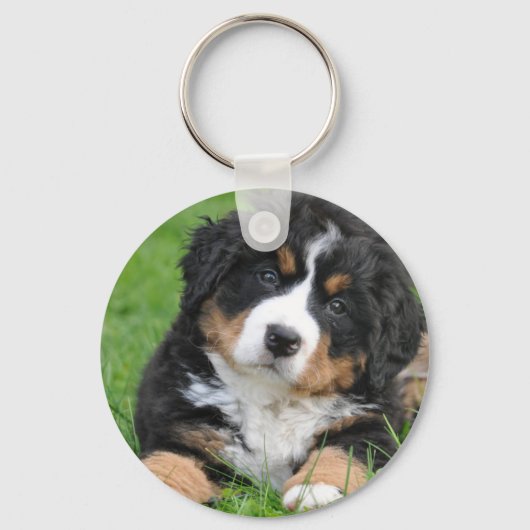 Bernese Mountain Dog Sleutelhanger (Voorkant)