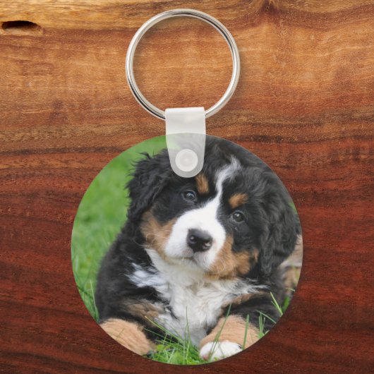 Bernese Mountain Dog Sleutelhanger (Voorkant)