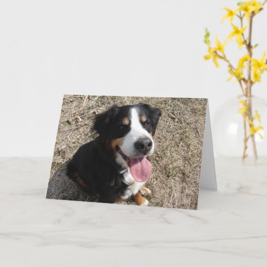 Bernese Mountain Dog Smile Kaart (Gele Bloem)
