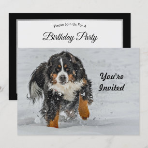 Bernese Mountain Dog Sneeuwfoto Birthday Kaart